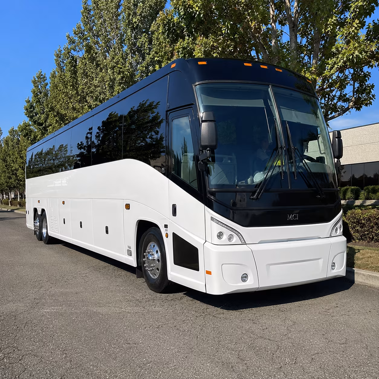 baytown 50 passenger charter bus