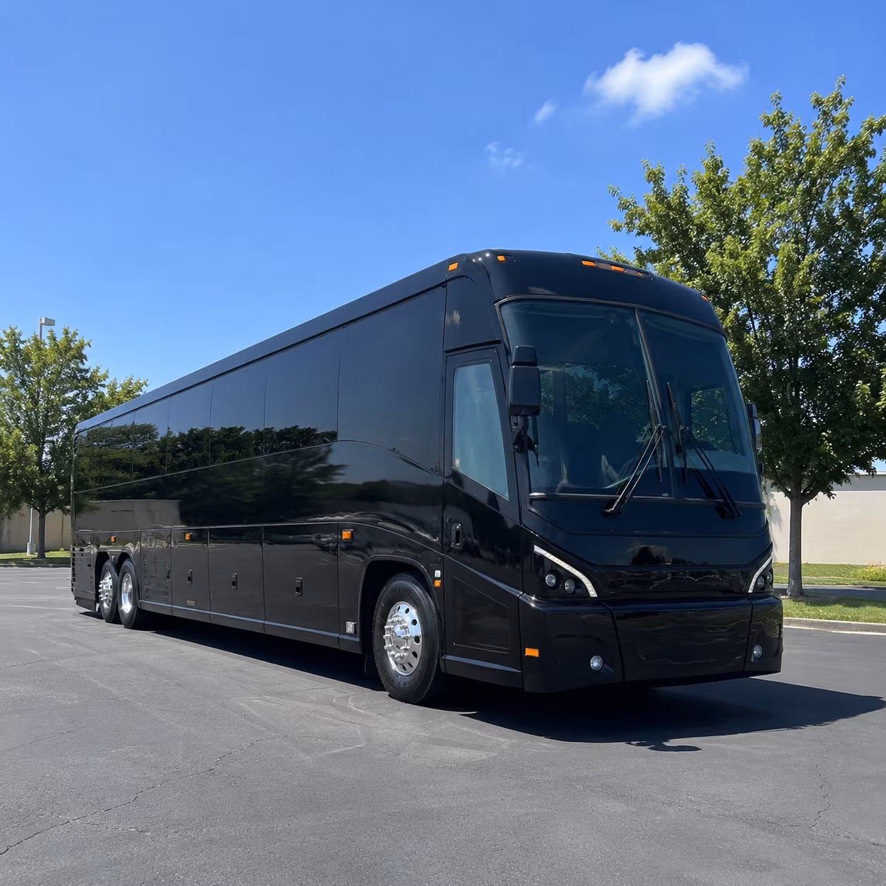 baytown 56 passenger charter bus